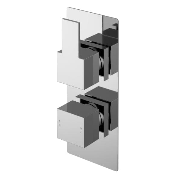 Nuie Concealed Shower Valves,Thermostatic Shower Valves Nuie Sanford Dual Handle 2 Outlet Thermostatic Concealed Shower Valve With Diverter - Chrome